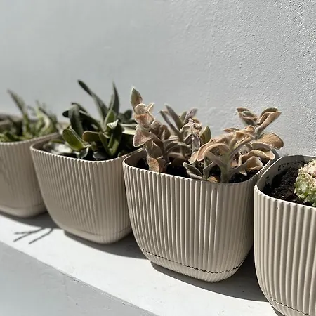 アパート Cozy And Traditional - Ec *