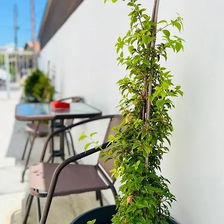 Cozy And Traditional - Ec