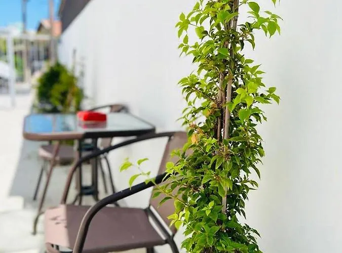 Cozy And Traditional - Ec